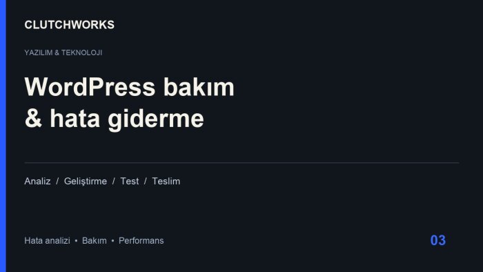 WordPress hatalarını giderir ve sitenizi hızlandırırım