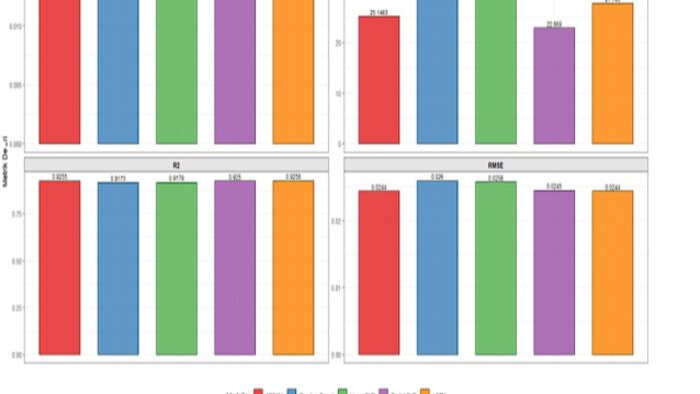 R kullanarak istatistiksel analiz ve modelleme yaparım