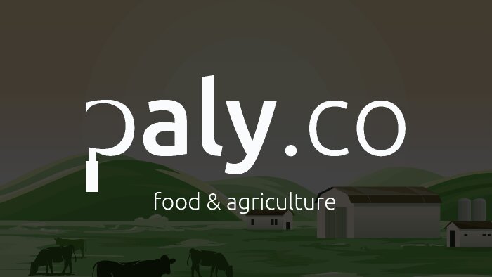 profesyonel ve özgün logo tasarımı yaparım
