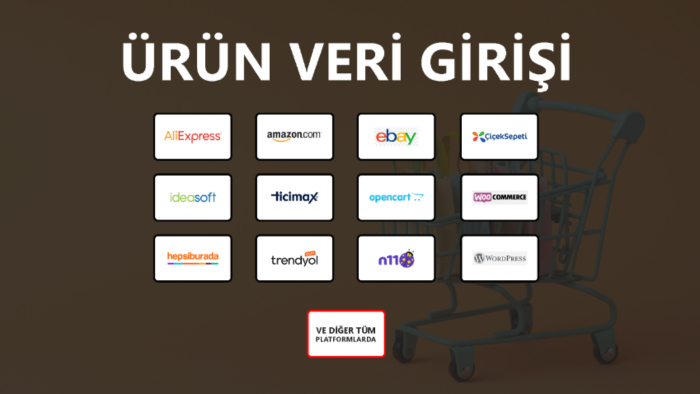 verileri profesyonelce yükleyip yayınlamanızı sağlarım
