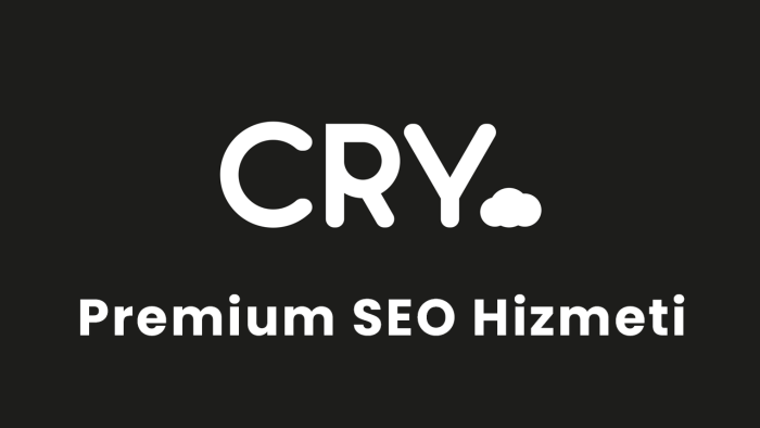 profesyonel seo hizmeti vermekteyim