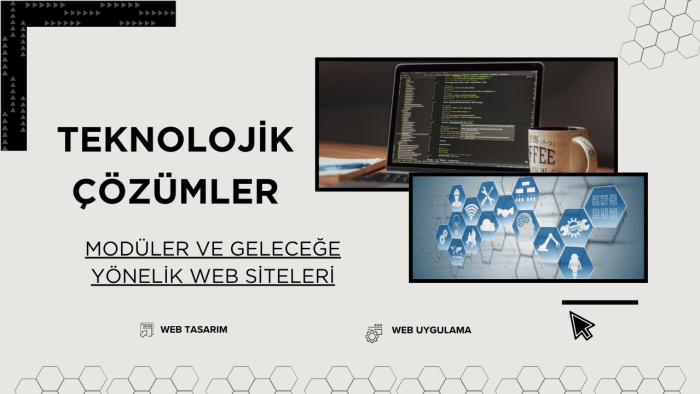 ASP.NET Core ile size özel, dinamik web projeleri kodlarım