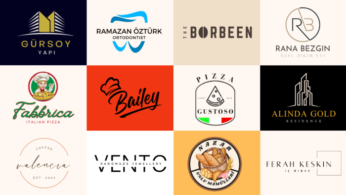 sizin için profesyonel bir logo tasarlayabilirim