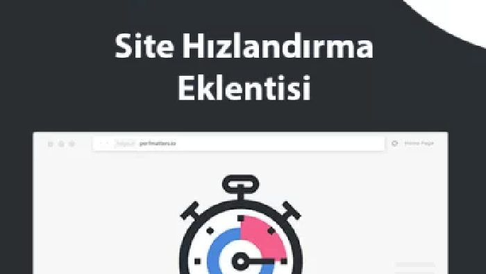 Perfmatters Pro eklentisini kurabilirim