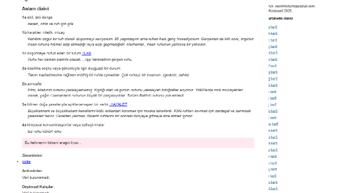 Node.js & Express ile profesyonel REST API geliştirebilirim