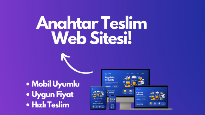 profesyonel bir şekilde anahtar teslim web sitenizi yaparım