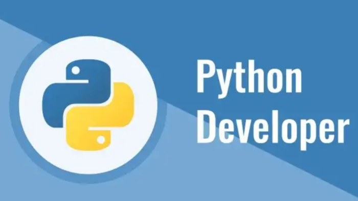 Python ile veri çekme ve otomasyon yazılımları geliştiririm