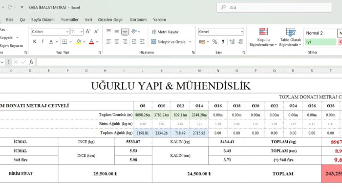 profesyonel excel dosyaları hazırlıyorum