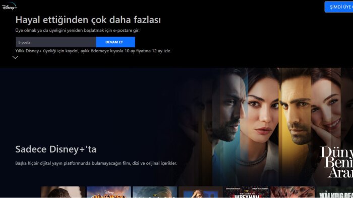 profesyonel şekilde projelerinizi yapabilirim
