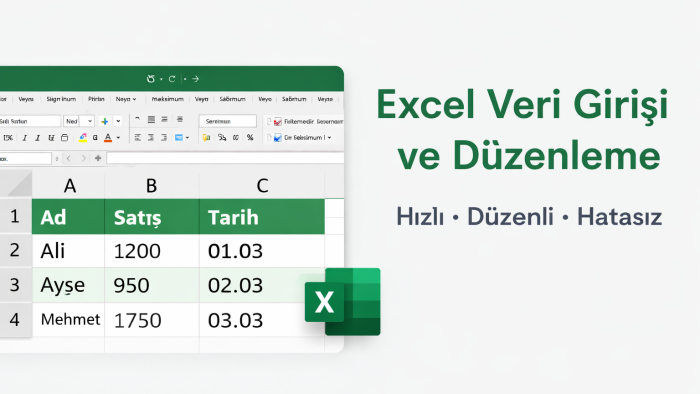 Excel veri girişi ve düzenlemenizi hızlı ve hatasız yaparım