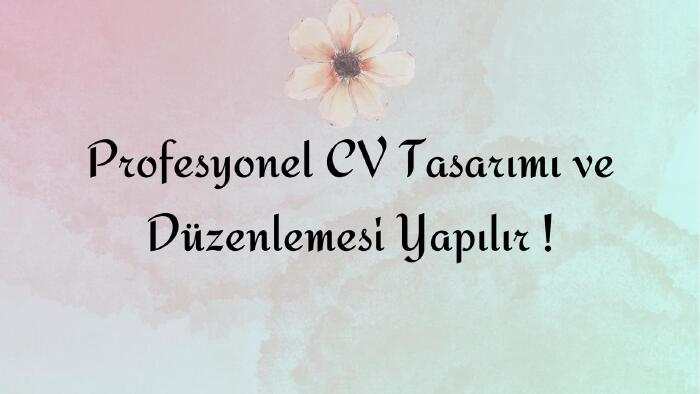 profesyonel cv tasarımı ve düzenlemesi yapıyorum