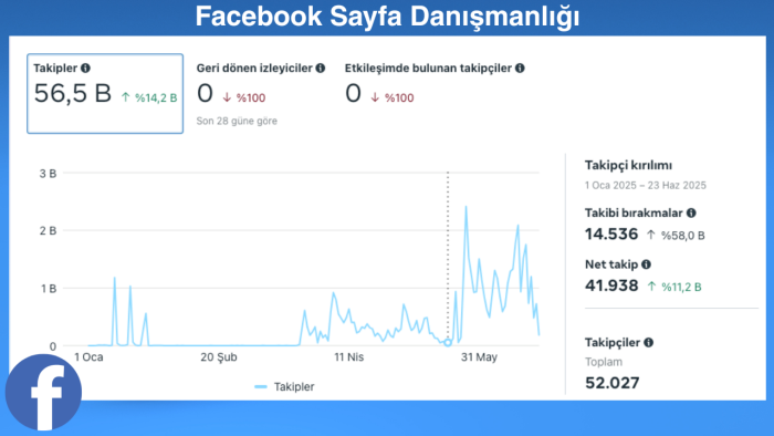 Facebook sayfa danışmanlığı yaparım