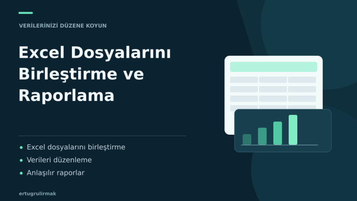 excel dosyalarınızı birleştirip düzenli rapor hazırlarım