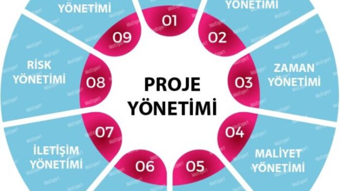 proje yönetimi danışmanlığı veririm