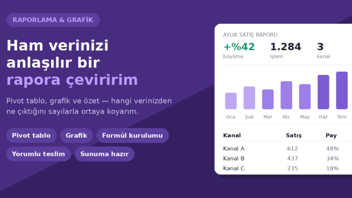 verilerinizi düzenler, özet rapor ve grafik hazırlarım