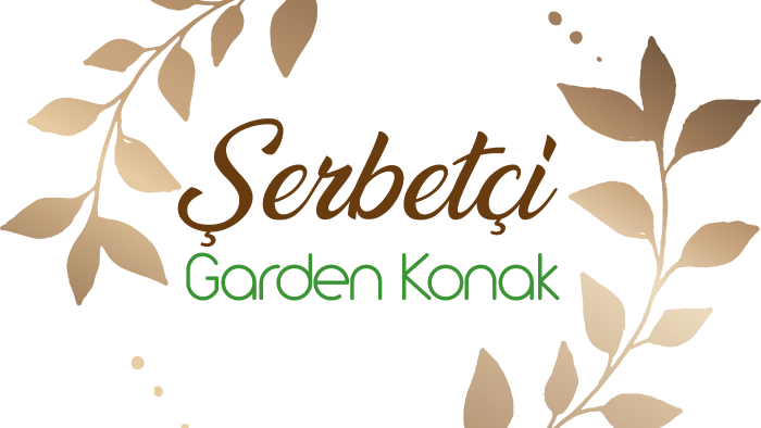 logo konusunda yardımcı olabilirim