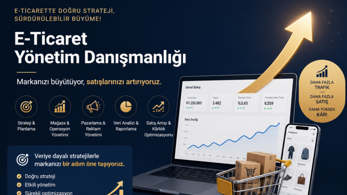 e-ticaret yönetim danışmanlığı yapıyorum