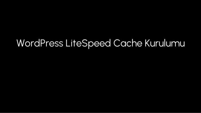 WordPress sitenize LiteSpeed Cache kurar ve optimize ederim