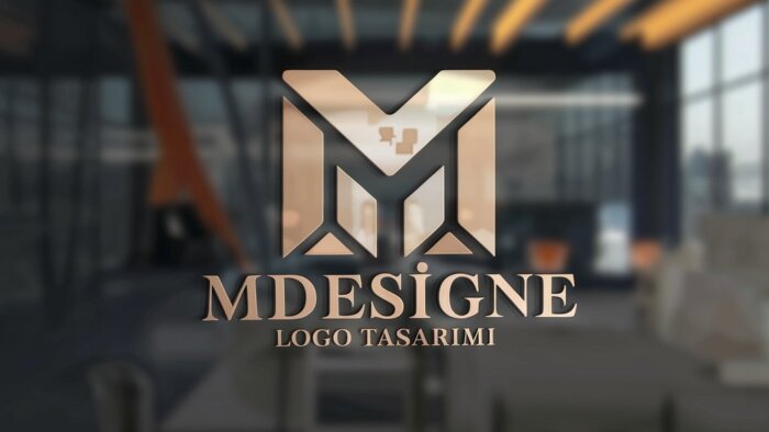 profesyonel bir şekilde logo tasarımı yapabilirim