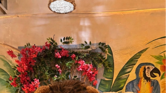 fotoğraf tasarlarım