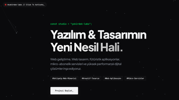 komple paket olarak AI Altyapı web alanı geliştiriyorum