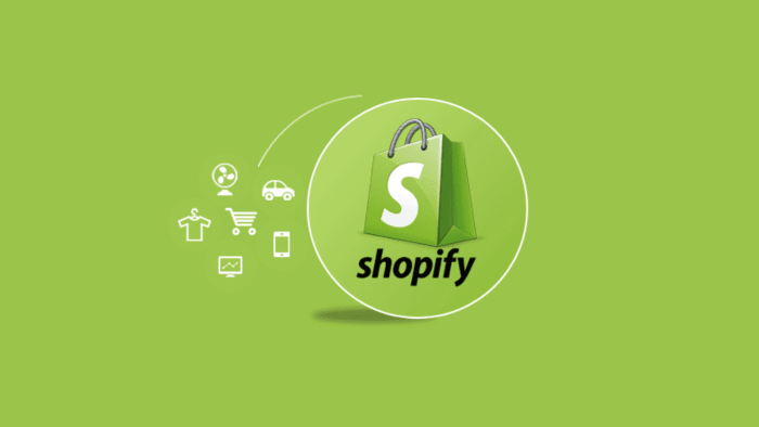anahtar teslim Shopify web sitesi yaparım