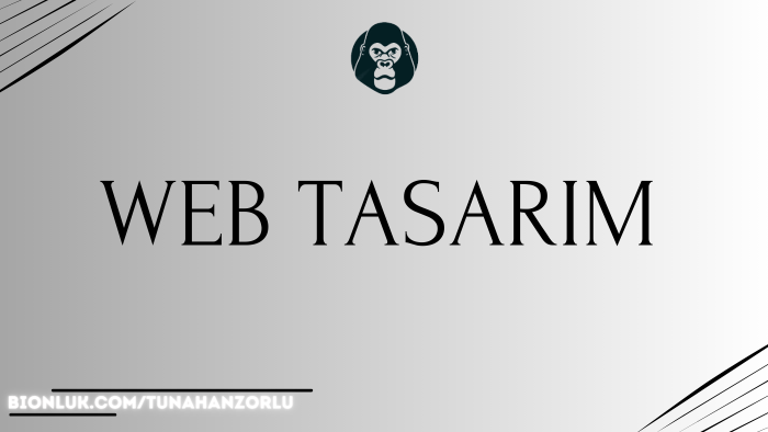 profesyonel web sitesi hazırlıyorum