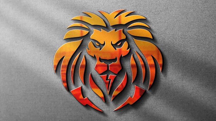 profesyonel logo tasarımı hizmeti veriyorum