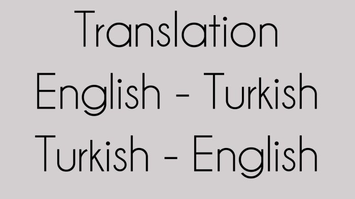 İngilizce Türkçe çeviri yapıyorum