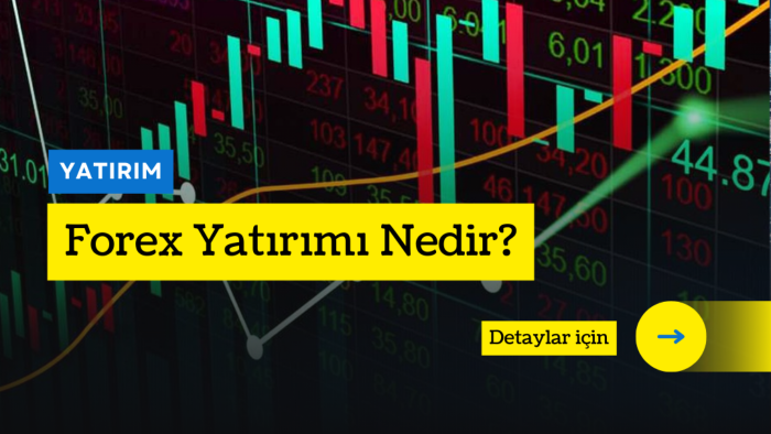 sosyal medyada sizleri temsil edecek içerikler üretebilirim