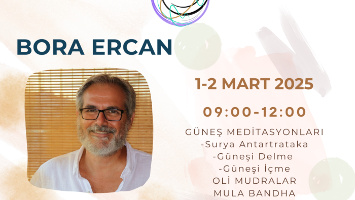 canva ile sosyal medya reklamlarınızı, menü ve sunum yaparım