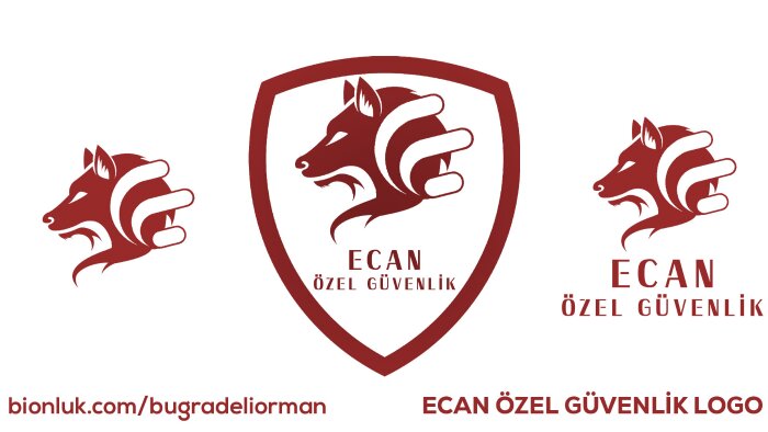 size istekleriniz üzerine özgün ve kaliteli logo tasarlarım