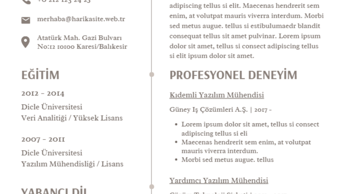 sade ve anlaşılır CV hazırlarım