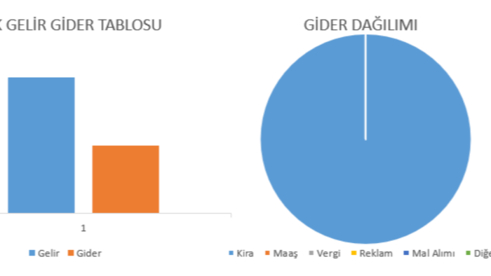 size özel gelir gider ve iş yönetim sistemi yaparım