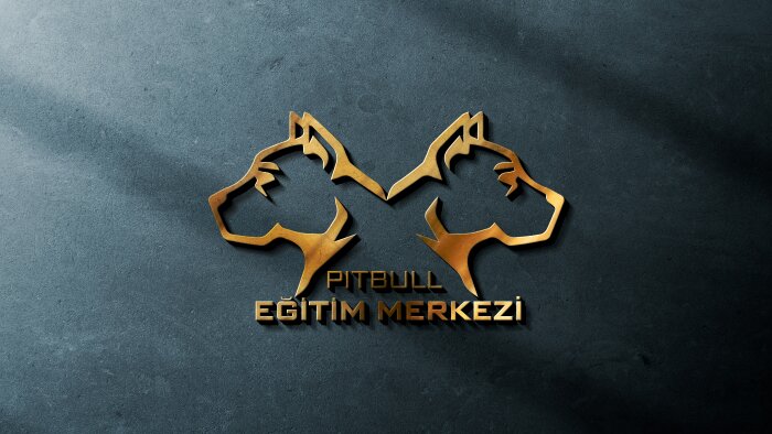markanız için yenilikçi ve modern logo tasarlayabilirim