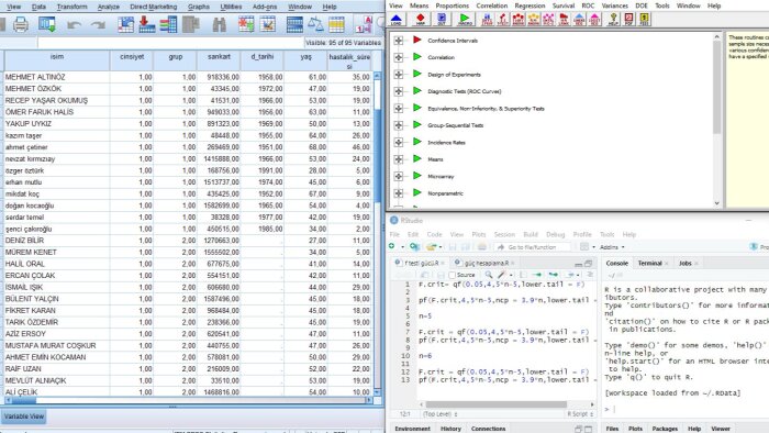 SPSS de yer alan tüm analizlerinizi yorumlayıp raporlarım