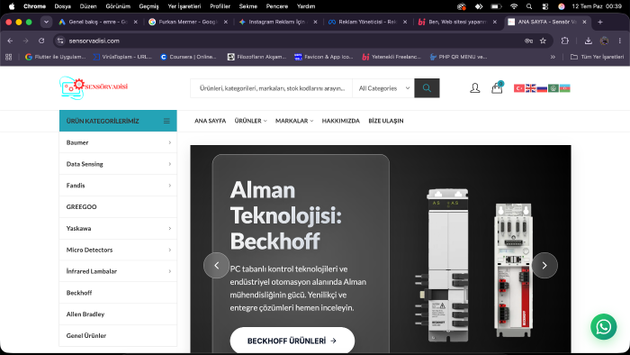 Web sitesi yaparım