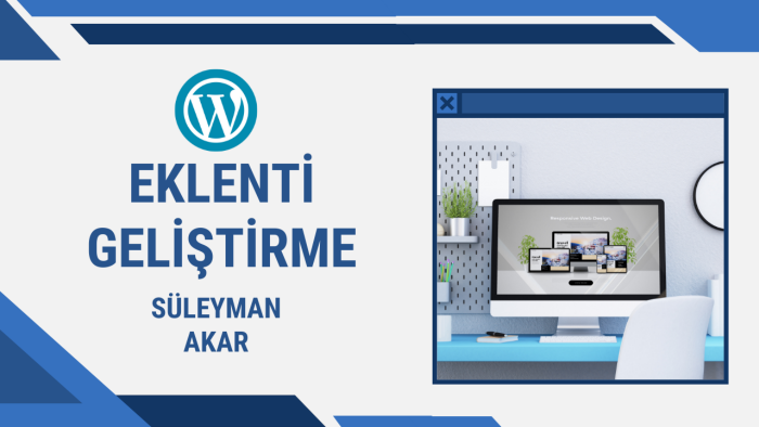 wordpress siteniz için eklenti geliştiririm