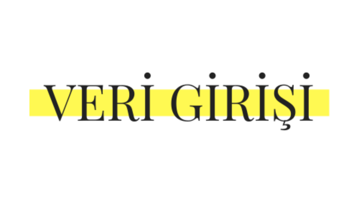 veri girişi yapabilirim
