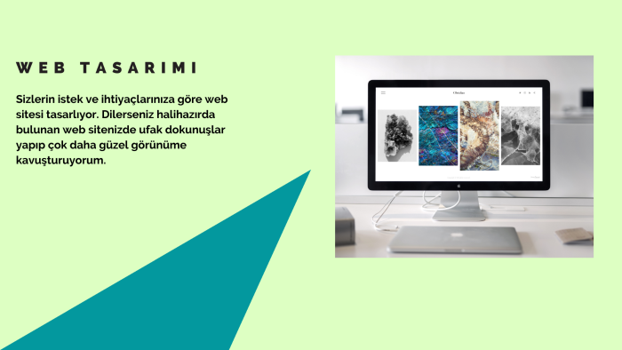 size anahtar teslim bir web sitesi kurabilirim