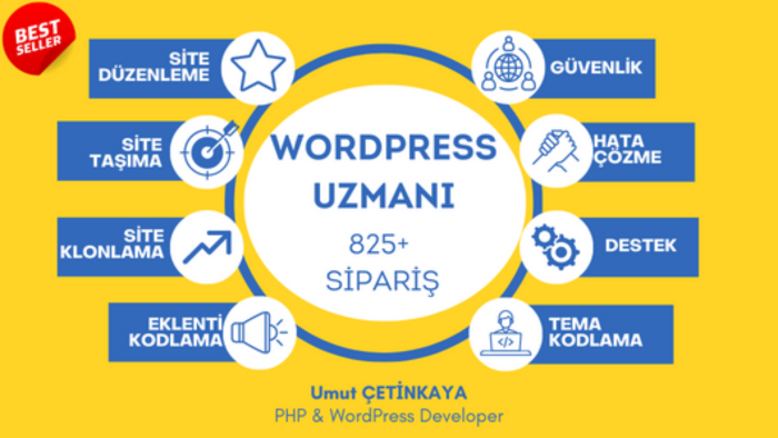 profesyonel olarak WordPress ve PHP işlerinizi yaparım