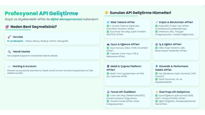 kapsamlı bir api yazarım