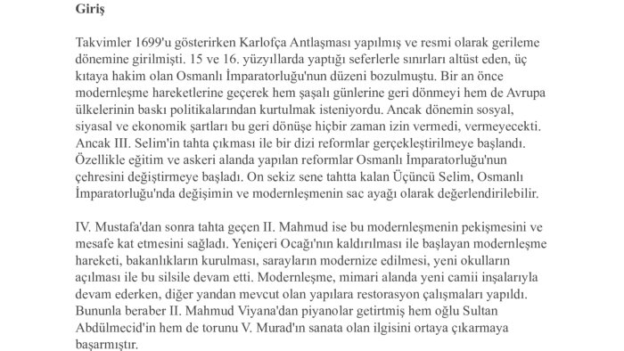 sanat tarihi, tarih, opera, alanlarında inceleme yazarım