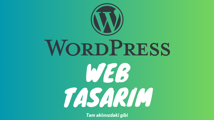 kafanızdaki web sitesini gerçeğe dökebilirim