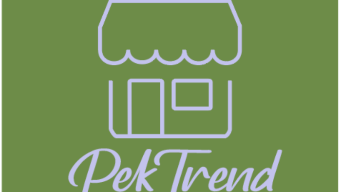 profesyonel logo yaparım