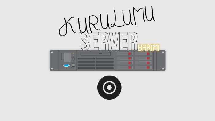 server kurulumu yapabilir yada server desteği verebilirim