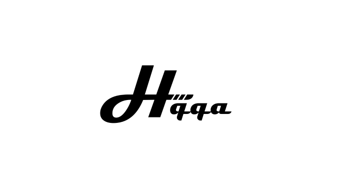 bir konsept üzerine logo yapıyorum
