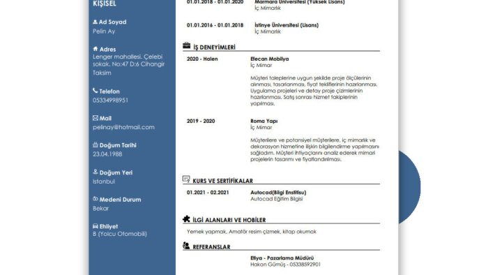 profesyonel şekilde cv hazırlarım