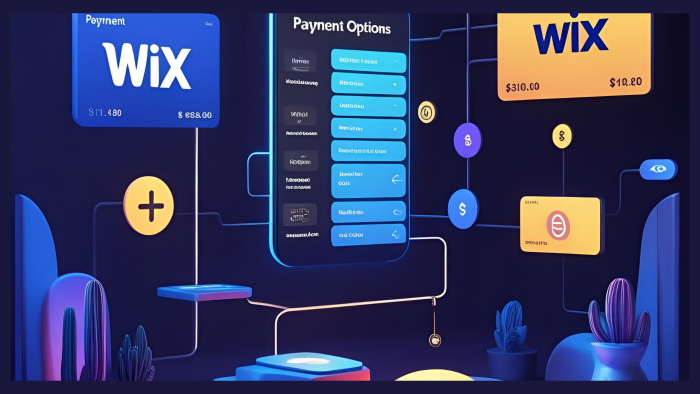 Wix de Shopier gibi harici ödeme api yöntemlerini eklerim