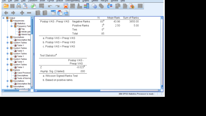 istatistik veri analizini SPSS ile yapabilirim